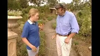 Best Harry's Practice House call - Camille and Cornla