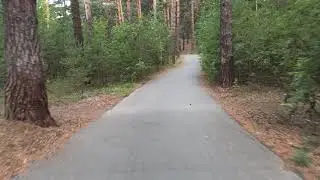 Лыжероллеры. 60fps без стабилизации