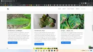 Stem–Leaf Segmentation and Phenotypic Trait Extraction of Individual Maize Using Terrestrial LiDAR D