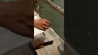Lebbo Coin Neddle test