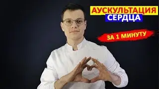 Cardiac Auscultation in 1 Minute | Cardiac Auscultation Points
