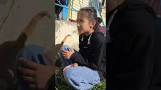 #влог #животные