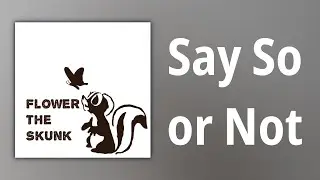 Flower the Skunk // Say So or Not