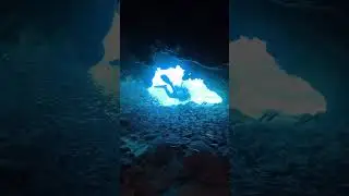 A Wall of Millions of Silversides fill an entire cavern in the Cayman Islands