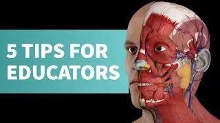 Help your students to succeed with these top tips
