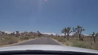 Joshua-Tree-Nationalpark Drive Thru