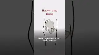 ПРАВКА ТАЗА