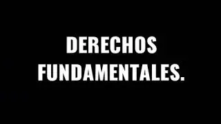 Derechos Fundamentales, Ciencias Políticas y Económicas.   Mariapaula Pardo