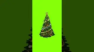 Christmas Ornament Green Screen Overlay 