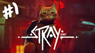 Stray Gameplay Part 1