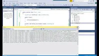 IS303 C# Sorting a ListBox using Lambda