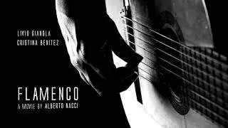 FLAMENCO  by Alberto Nacci - excerpt