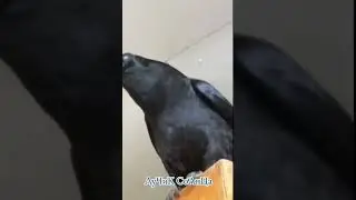 Добрые дела, добрые поступки