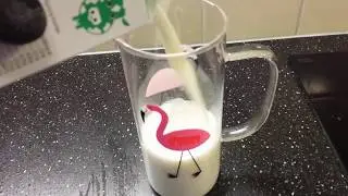 FLAMINGO MILK CUP