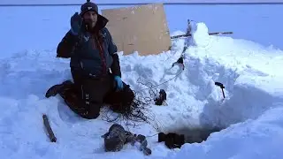 Рыбалка на перемет. Воскрешение снастей!