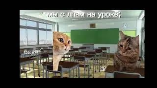 пов: с лп на уроке