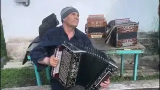 Гармонист Николай Бобкин