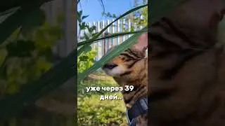 ждёте? 