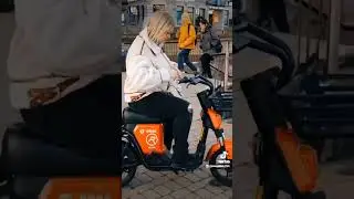 🔴 ЕДУ ЗА ЦВЕТАМИ🌹 Вам Какие Брать ? 