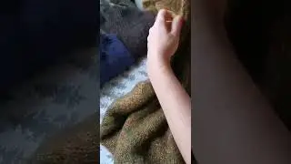 Платье-свитер - лучшая инвестиция в зиму ❄️❄️❄️.  https://www.livemaster.ru/item/46755280