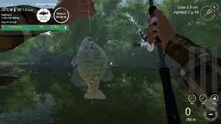 Fishing Planet : Nehherin Minimals