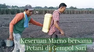 Keseruan Marno bersama Petani di Gempol sari
