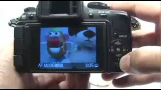 Panasonic G1/GH1: Product Photography
