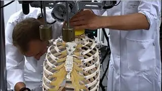Institute of Orthopaedic Research and Biomechanics at Ulm University Medical Centre