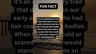 Fun fact #goosebumps #shorts