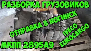 Отправка в Ногинск 9 ст коробки передач 2895A9 Iveco EuroCargo Разборка грузовиков Ивеко Еврокарго