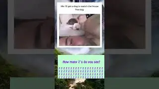 meme of the day