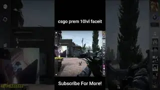 csgo prem 10lvl faceit  