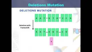 Deletions