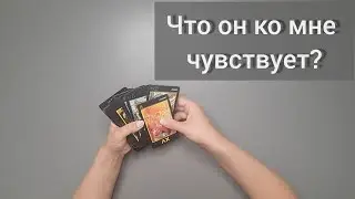 Что он ко мне чувствует? 4 варианта. Выбирайте) 