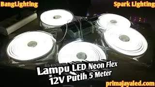 Lampu LED Neon Flex 12V Putih 5 Meter