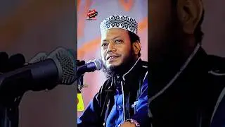 স্বাধীন দেশে আমরাই পরাধীন ছিলাম MUFTI AMIR HAMZA NEW WAZ 2025 | SHORT WAZ | REAL WAZ #amirhamza #new