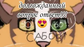 вопрос ответ от белолапки !💗 / коты воители / белолапка кв