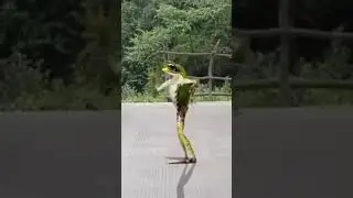 why this frog is happy & dancing?💃💃💃 #dance #dancevideo #dancevideos
