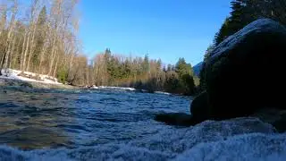 Skykomish River Under Bridge