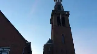 Spreeuwen in Dronrijp