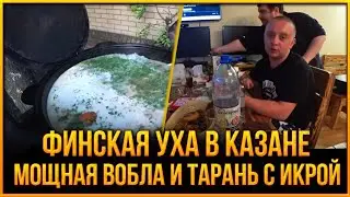 ФИНСКАЯ УХА В КАЗАНЕ | МОЩНАЯ ВОБЛА И ТАРАНЬ С ИКРОЙ