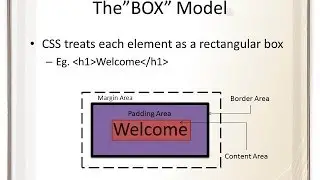 (8) CSS Box Model