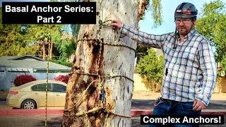 Complex BASAL ANCHORS for Tree Climbing - BASAL ANCHORS Pt. 2