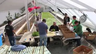 Harvest