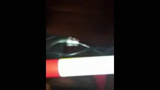 Razor E100 electric scooter unboxing and assembly part 2