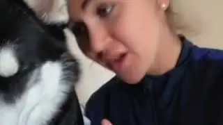 Каста здесь? Трек от хася . Из квн. Хаски видео приколы