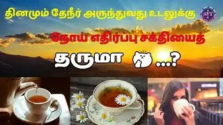 தினமும் தேநீர் அருந்துவது உடலுக்கு நோய் எதிர்ப்பு சக்தியைத் தருமா.....?🤔