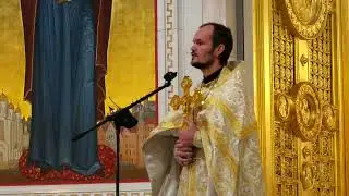 Проповедь иерея Игоря Дюкарева на воскресной литургии (11.12.22)