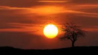 Island Sun - Time Sunset mix