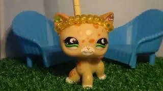 я снова сдаюсь?